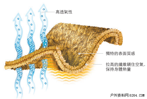 thermal是什么面料