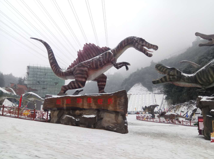 奥陶纪 万盛