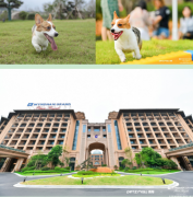 安吉凯承温德姆至尊豪廷大酒店萌宠大赛之旅——我和派摩有个约会